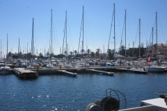 am Hafen