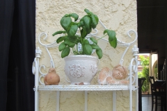 Terrasse hinten